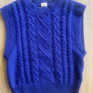 aritzia sweater vest